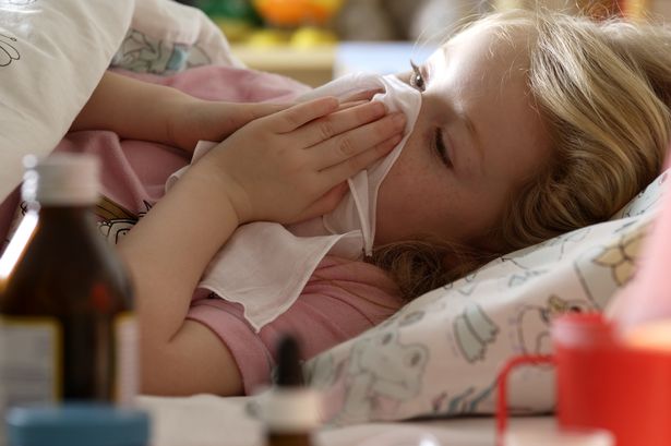 BBC Doctor Reveals 68p Kitchen Hero to Tackle Cold and Flu Symptoms