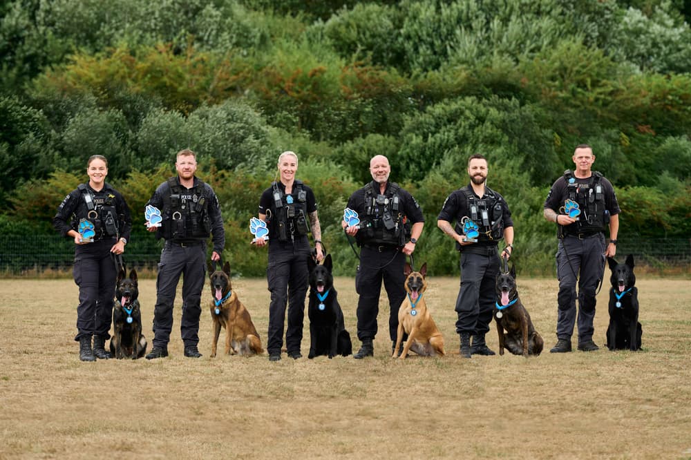 Bravery in the Line of Duty: Police Dog Team Honored Amid Riots
