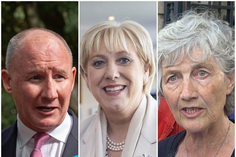 Irish Presidential Race: Three Candidates Left Standing After Maria Steen's Exit