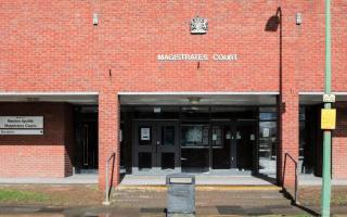 Pelton Resident Sentenced for Ignoring Court Orders: A Comedy of Errors