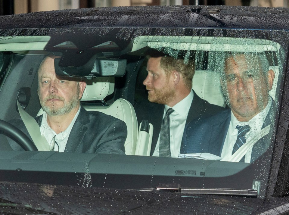 Prince Harry Responds to Claims of Being Surprised by Formal Meeting with King Charles