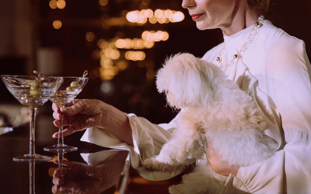 Sip, Sip, Hooray! Early Black Friday Booze Deals Make Merry Moments Possible