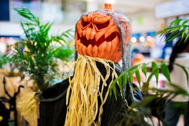 Spooktacular Family Fun Awaits in Manchester This October Half Term!
